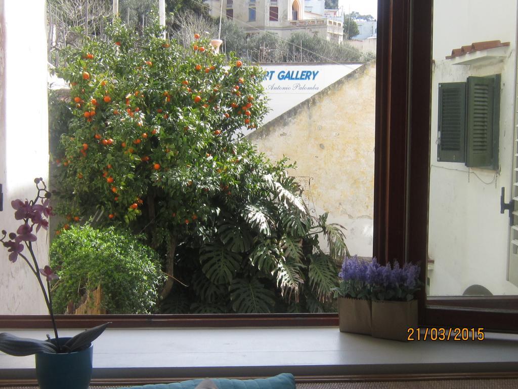 Villa Apollo B&B Capri Cameră foto