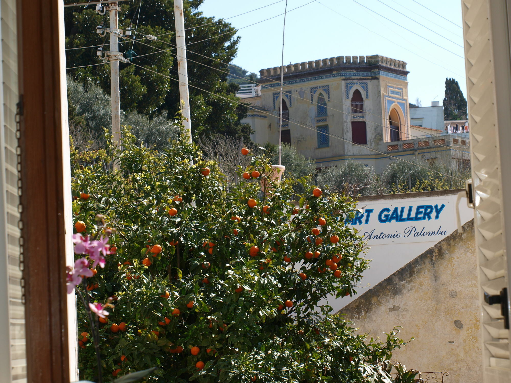 Villa Apollo B&B Capri Exterior foto